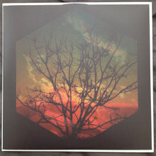 Load image into Gallery viewer, My Brothers & Sisters : Violet Music : Volume I (LP, Album, 180 + CD, Album)