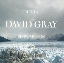 Load image into Gallery viewer, David Gray : Life In Slow Motion (CD, Album, Enh, Cop)