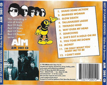 Load image into Gallery viewer, Flamin' Groovies* : Oldies But Groovies (CD, Comp)