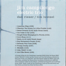 Load image into Gallery viewer, Jim Campilongo Electric Trio, Jim Campilongo : American Hips (CD, Album)