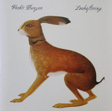 Load image into Gallery viewer, Vashti Bunyan : Lookaftering (CD, Album)