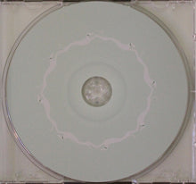 Load image into Gallery viewer, Vashti Bunyan : Lookaftering (CD, Album)