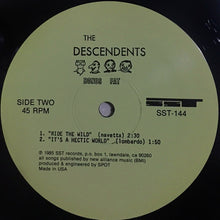 Load image into Gallery viewer, The Descendents* : Bonus Fat (12", Comp, RE, RP)
