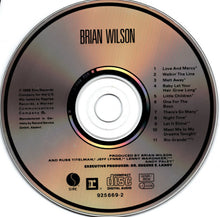 Load image into Gallery viewer, Brian Wilson : Brian Wilson (CD, Album)
