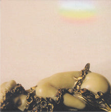 Load image into Gallery viewer, Josephine Foster : No More Lamps In The Morning (CD, Album)