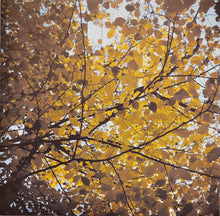 Load image into Gallery viewer, RM Hubbert : Telling The Trees (LP, Album)