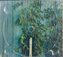 Load image into Gallery viewer, Harrison Brown : Ain't Goin' My Way (CD, Album)