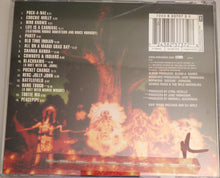 Load image into Gallery viewer, The Wild Magnolias : Life Is A Carnival (CD, Album)