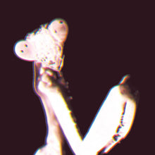 Load image into Gallery viewer, Grimy Styles : Disteria (12", EP, Ltd, Gol)