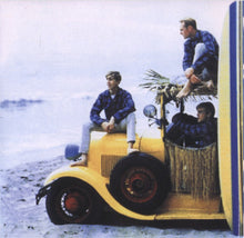 Load image into Gallery viewer, The Beach Boys : Greatest Hits (CD, Comp)