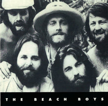 Load image into Gallery viewer, The Beach Boys : Let's Go Surfin' (CD, Comp)