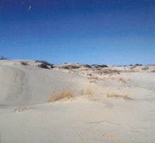 Load image into Gallery viewer, Carl Sagan's Skate Shoes : Carl Sagan's Skate Shoes (CD)