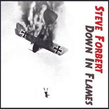 Load image into Gallery viewer, Steve Forbert : Down In Flames (3xCD)