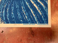 Load image into Gallery viewer, Rosanne Cash at Waterloo Records - 2009 (Poster)