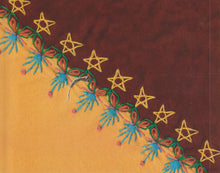 Load image into Gallery viewer, Shotgun Party : Mean Old Way (CD, Album)