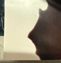 Load image into Gallery viewer, Deborah Harry Def Dumb & Blonde Promo (Poster)