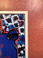 Load image into Gallery viewer, Phil Lesh and Friends at The Backyard - 2002 (Poster)