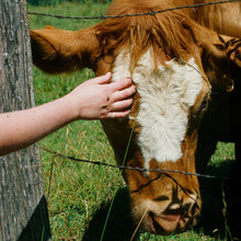 Load image into Gallery viewer, Eli Josef - Eli Josef (Cass, Album)