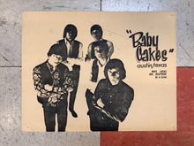 Load image into Gallery viewer, Baby Cakes Promo (Poster)