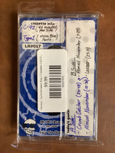 Load image into Gallery viewer, Various - Summerween Day 2 Cassette 2 6/27/2026 (Cassettes)