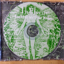 Load image into Gallery viewer, The Iveys – Someday We'll Be Known (CD)