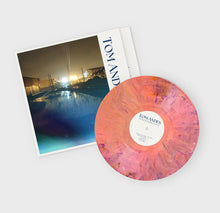 Load image into Gallery viewer, Tom Andes - The Ones That Brought You Home (LP, Album)