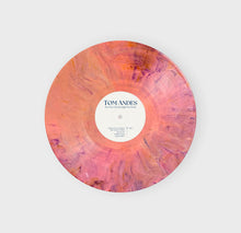 Load image into Gallery viewer, Tom Andes - The Ones That Brought You Home (LP, Album)