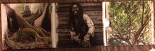 Load image into Gallery viewer, Rocky Dawuni : Branches Of The Same Tree (CD, Album, Gat)