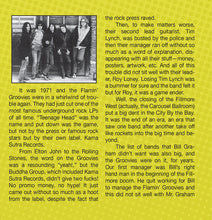 Load image into Gallery viewer, Flamin' Groovies* : Live 1971 San Francisco (CD, Album)