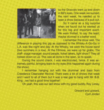 Load image into Gallery viewer, Flamin' Groovies* : Live 1971 San Francisco (CD, Album)