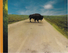 Load image into Gallery viewer, James Taylor (2) : October Road (CD, Album)
