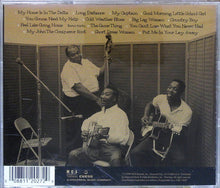 Load image into Gallery viewer, Muddy Waters : Folk Singer (CD, Album, RE, RM)