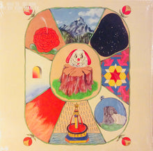 Load image into Gallery viewer, White Denim : Performance (LP, Album, Ltd, Cle)