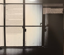 Load image into Gallery viewer, Eric Church : Desperate Man (LP, Album)