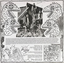 Load image into Gallery viewer, King Gizzard & The Lizard Wizard* : 12 Bar Bruise (LP, Album, RE, Gre)