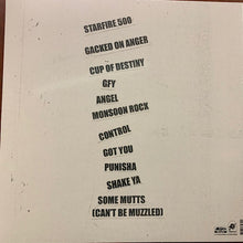 Load image into Gallery viewer, Amyl And The Sniffers : Amyl And The Sniffers (LP, Album)