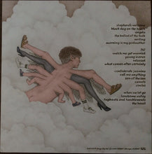 Load image into Gallery viewer, Bill Callahan : Shepherd In A Sheepskin Vest (2xLP, Album)