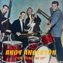Load image into Gallery viewer, Andy Anderson (2) : You Shake Me Up (CD, Comp, Mono)