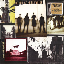 Load image into Gallery viewer, Hootie & The Blowfish : Cracked Rear View (LP, Album, RE, RM)