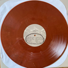 Load image into Gallery viewer, Vivian Girls : Share The Joy (LP, RP, Bro)