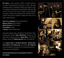 Load image into Gallery viewer, J. Åsling Roots & Friends Feat. Sven Zetterberg : The Stockholm Sessions (CD, Album)