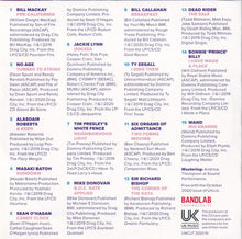 Load image into Gallery viewer, Various : Drag City (CD, Comp)