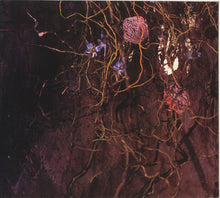 Load image into Gallery viewer, Enya : Oíche Chiún (Silent Night) (CD, Maxi, Dig)