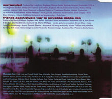 Load image into Gallery viewer, Martin Phillipps & The Chills* : Surrounded (CD, Single)