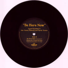 Load image into Gallery viewer, Doyle Bramhall II Feat Susan Tedeschi & Derek Trucks : Be Here Now (7", RSD, Ltd)