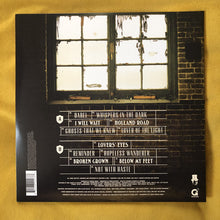 Load image into Gallery viewer, Mumford & Sons : Babel (LP, Album, Gat)