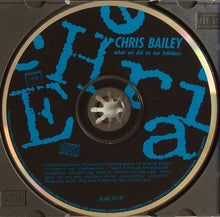 Load image into Gallery viewer, Chris Bailey : What We Did On Our Holidays (CD, Album)
