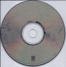 Load image into Gallery viewer, Patty Larkin : Strangers World (CD, Album)