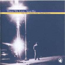 Load image into Gallery viewer, What We Live : Never Was (CD, Album)