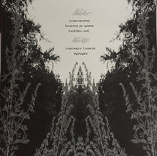 Load image into Gallery viewer, Zelosis : Zelosis (LP, Col)